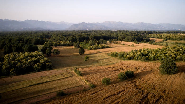 Δείτε ποιοι δικαιούνται δωρεάν γη